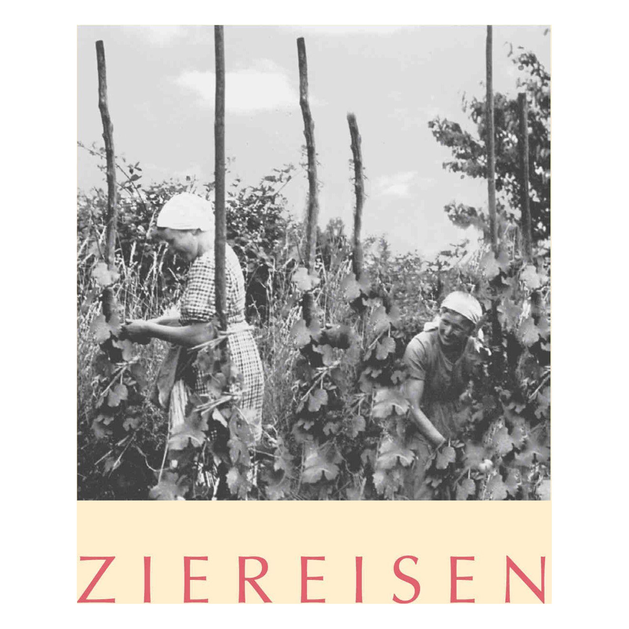 Ziereisen Baden Pinot Noir Jaspis 2018 750ml