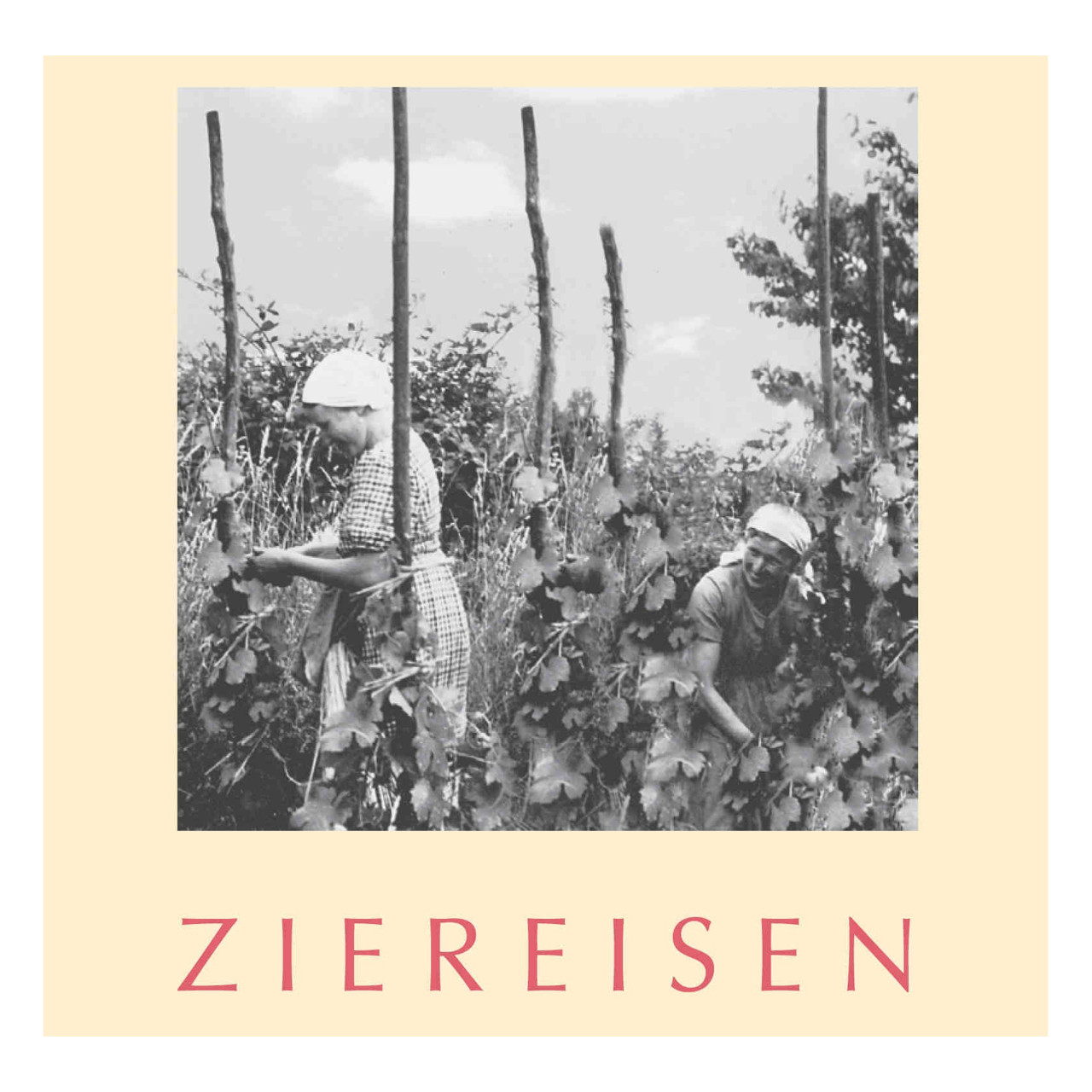 Ziereisen Baden Pinot Noir Jaspis 2019 750ml